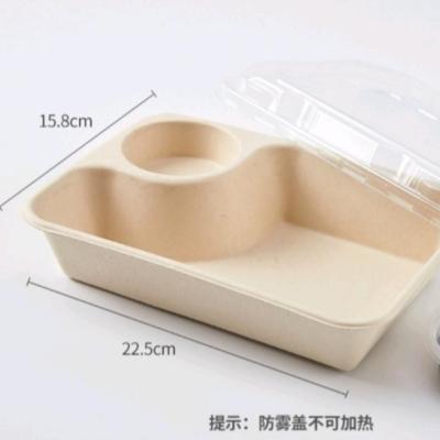 China Rectangular Disposable Sauce Cup Box Food Salad Box Fast Food Takeout Packing Box for sale