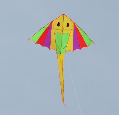 China Promotioanl Gifts / Advertising Colorful 1.6m Single Line Delta Kite Outdoor Toys For Kids for sale