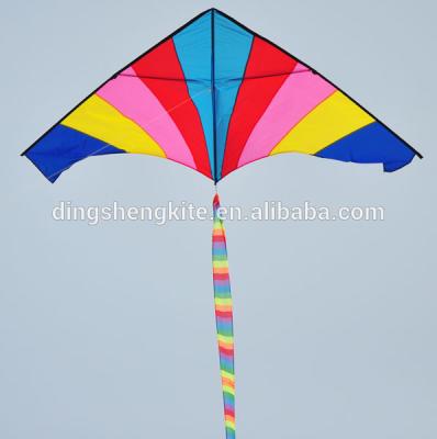 China Promotion/gift/advertise/toy kite/rainbow delta kite good quality sport beautiful 3m tall for sale for sale