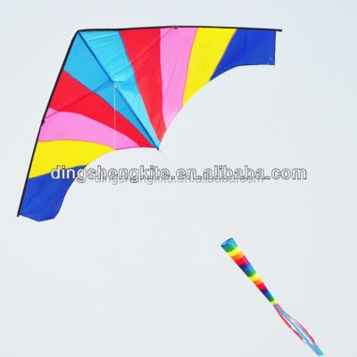 China Promotioanl Gifts / Advertising 3m Large Colorful Delta Kite For Beach Rainbow Kites for sale