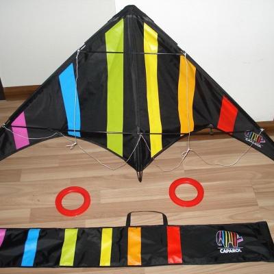 China Promotioanl Gifts/Advertising Double Line Polyester Rainbow Waterfall Kite From Professional Kite Factory for sale