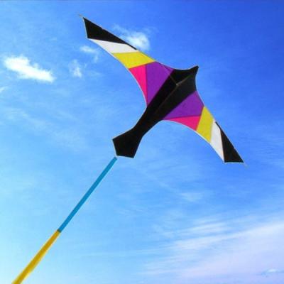 China Promotional Polyester Large Bird Kite From Professional Kite Factory for sale