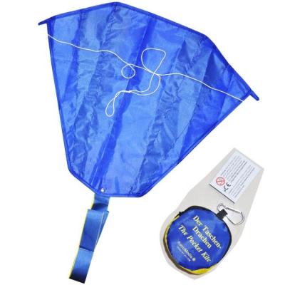 China Promotional Gifts / Advertising Chinese Outdoor Soft Pocket Mini Kite For Kids for sale