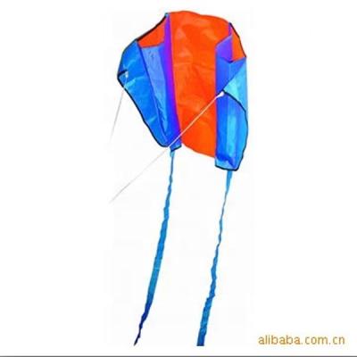 China The advertising of chinese kite promotional kite mini pocket kite for sale for sale