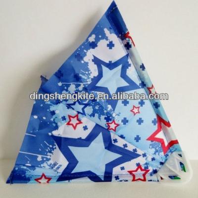 China DIY Polyester Kite For Kids Kite For Sale Mini Kite for sale