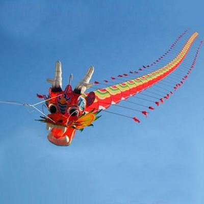 China Promotioanl Gifts / Advertising / Beautiful Flying Chinese Kite Dragon 3D Kites for sale