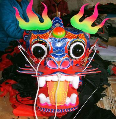 China Promotion/gift/advertise/toys/Chinese traditional dragon head kite colorful sport kite for sale for sale