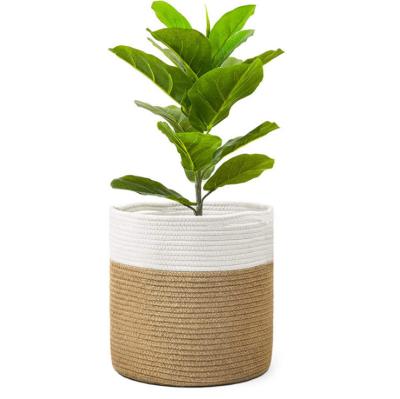 China Sustainable Plant Storage Basket Home Clothing Decoration Woven Rope Cotton Basket for sale