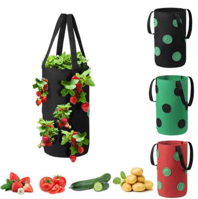 China Modern Potato Strawberry Vegetable Wall Held Hanging Grow Bag for sale