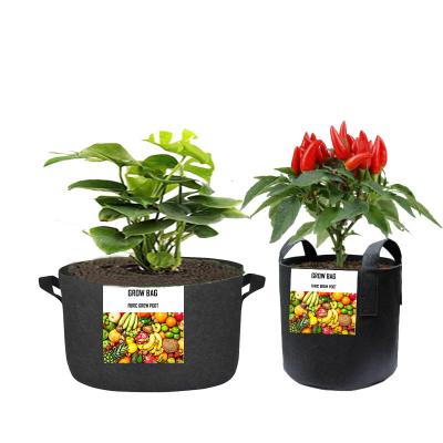 China Custom Size Eco-Friendly 10 Gallon Fabric Grow Pot Felt Grow Bag Felt Planter Bag for sale