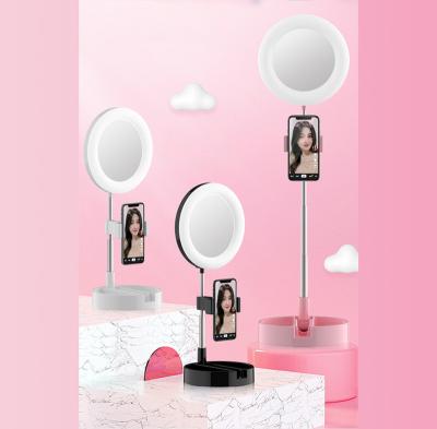 China Portable Abs+alloy Mini 6 Inch Ring Light Led Photographic Lighting Desktop with Storage Holder and Phone Clip for tok/youtube/tik makeup for sale