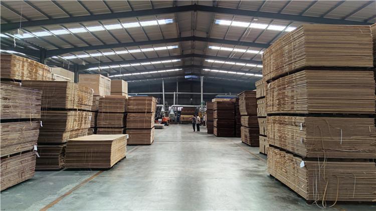 Verified China supplier - Shandong Yong Sen Wood Industry Co., Ltd.