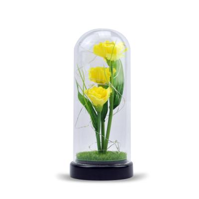 China 2021 Europe's Best Selling Led Rose Glass Dome Flower Display Eternal Light For Her for sale