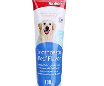 China Viable Hotsale Beef Flavor Dog Toothpaste for sale