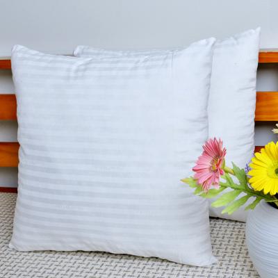 China High Quality Anti-Apnea Pearl Cotton Pillow Core With Zipper Back Support Deep Sleep For Home Decorative Couch Bed Cushion Core for sale