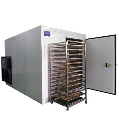 China Medicine Curing Cold Air Kelp Dehydrator Seafood Equipment Seashell Dryer Machine Squid Death Drying Machine for sale