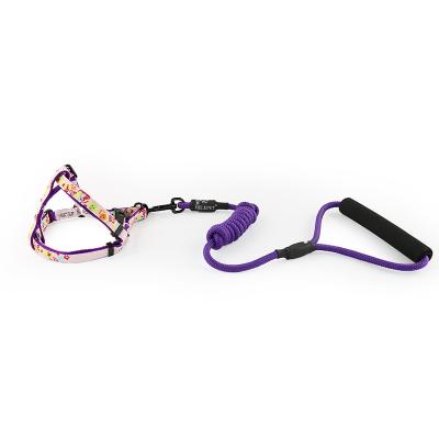 China New Inventions Custom Soft Dog Personalized Pet Running Harness And Leash Set for sale