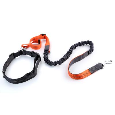 China Personalized Adjustable Dog Training Leash Pet Dog Walking Leash for sale