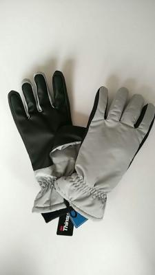 China winter gloves for adults for sale