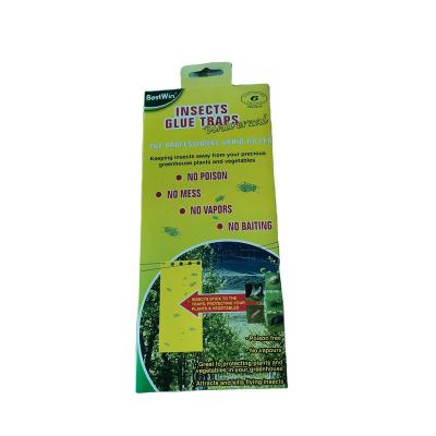 China Double Sided Sustainable Sticky Insectyellow Hanging Glue For Insect Trap for sale