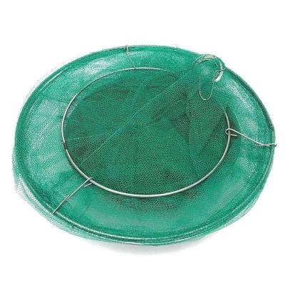 China 20-50 Square Meters Hanging Reusable Fly Catcher Fly Control Killer Pilots Fly Catcher Cage Net for sale