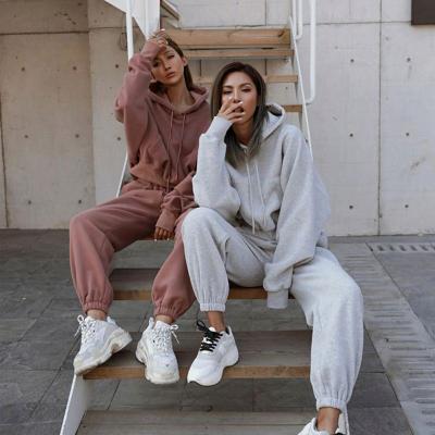 China Anti-Wrinkle Autumn Winter Jogger Jumper, 2 Piece Women's Gym Workout Custom Velor Set Top Crop Hoodie Women Oversized Sweatshirts for sale