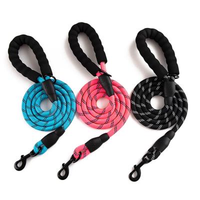 China Sustainable Practical Strong Heavy Duty Muti-color Dog Leash Nylon Material Luxury Large Quality Dog Leash for sale