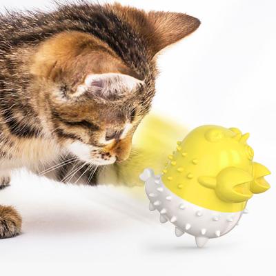 China 2021 Viable Amazon Toothbrush Interactive Clean Animal Fun Vibrating Cat Toy Creative New Toy Training Electric Cat Agility Pet Toy for sale