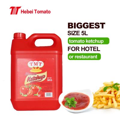 China 100% fresh tomato Dubai selling cheap price safa tomato ketchup tomato sauce for sale