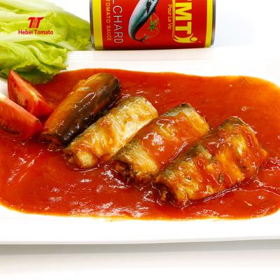 China 155g canned canned mackerel in tomato sauce with best selling and good quality for sale