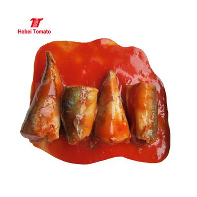 China Factory Canned Fish Mackerel Tin Taste Good Canned Fish In Tomato Sauce With Lower Price for sale