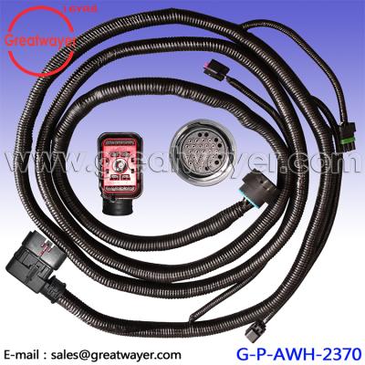 China Truck CPE 24 Pin HDP26-24-31SE Truck Engine Wire Harness for sale