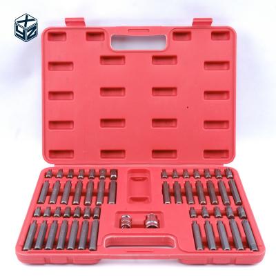 China Customized Logo Alloy Steel CRV Material 54pcs Plastic Box Bits Set for High Accuracy for sale