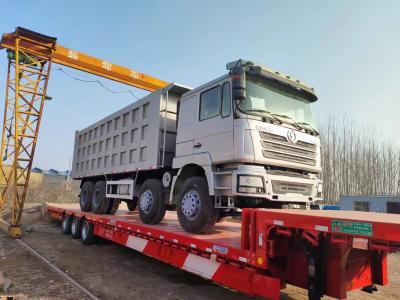 China Shacman 8*4 Dump Truck Hw70 Wd615.69 EURO II Euro II Emission with Radial Tire Design for sale