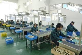 Verified China supplier - Ningbo EFF Manufactory Co., Ltd.