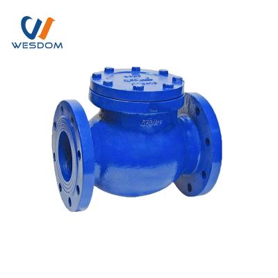 China Multi Single Door Disc Flanged Swing Type Water/Electricity/Sewage/Medical/Construction Non-Return Valve Disc Single Gate Flanged Check Valve for sale