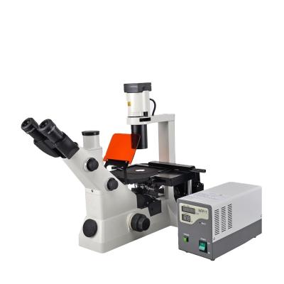 China Hot sale inverted fluorescence microscope with good price CKXD202 for sale