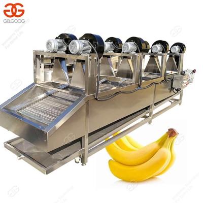 China Gelgoog GG-FD4000 Plantain Automatic Banana Chips Drying Machine In China GG-FD4000 for sale