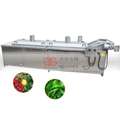 China Factory Commercial Conveyor Belt Fruit And Leafy Vegetable Blanching Machine With 3000Kg for sale