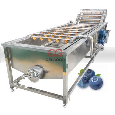 China Vegetable Fruit Processing Plant GG-XQ4000 Seal Fruit Strawberry Blueberry Washing Machine for sale