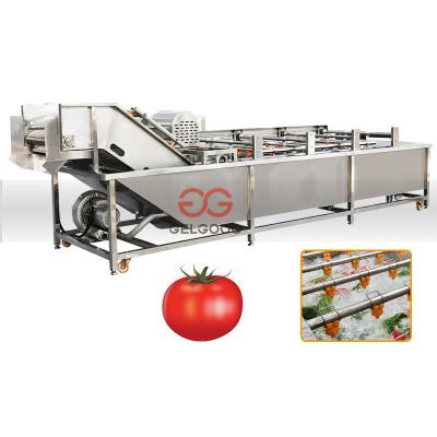 China Fruit Processing Plant Tomato Washing Line Machines Industrial Cleaning With Water Cycle for sale