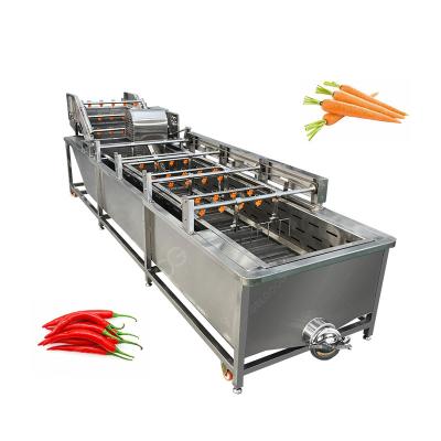 China Gelgoog Stainless Steel Strawberry Chili Pepper Cleaning Machine Potato Cleaner Industrial Carrot Bubble Washing Machine for sale