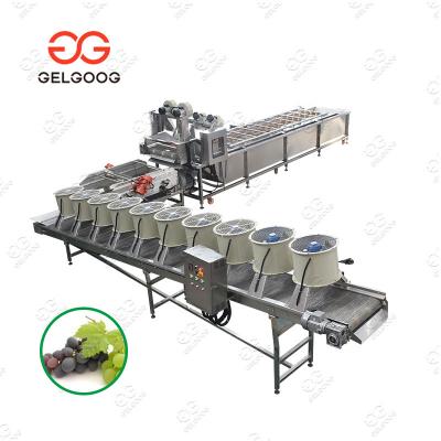 China Hot Sale High Efficiency Gelgoog Dry Cleaning And Potato Machine Cherry Grape Fruit And Vegetable Drying Washing Machine Line for sale