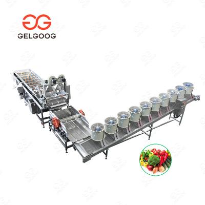 China Gelgoog New Energy Saving Automatic Fruit Seal and Drier Raisin Fruit Bean Sprout Vegetable Washing Drying Machine Line for sale