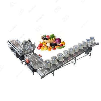 China High Efficiency Easy Operate Gelgoog Sale Apple Salad Sugar Beet Washer Pea Pecan Papaya Washing Machine Vegetables Washing Machine Line for sale