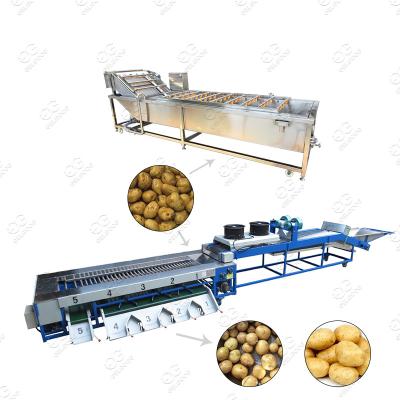 China High efficiency Gelgoog tomato seal machine price fruit and vegetable equipment potato washing grading machine for sale