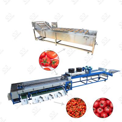 China High efficiency new generation tomato cleaning date potato washing machine and sorting machine for sale