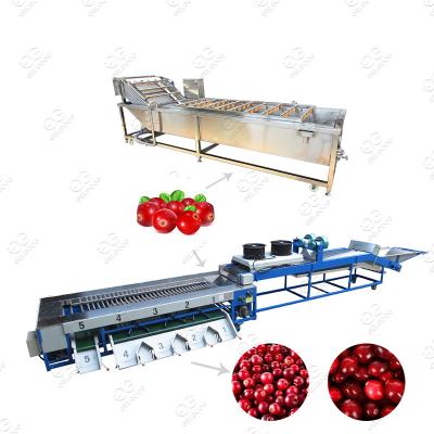 China High Efficiency High Quality Date Food Grade Washing Machine Cranberry Washing Sorting Sorter for sale