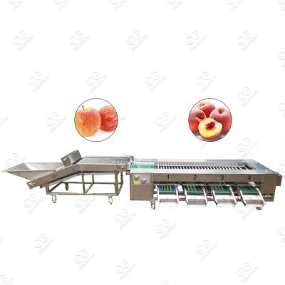 China High Efficiency Food Grade Apple Washing And Sorting Machine Avocado Cleaning And Grading Machine Full Automatic for sale