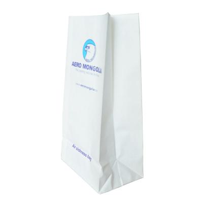 China Waterproof and Leakproof Disposable Biodegradable Environmental Protection Food Paper Packaging PLA Coated Paper Material Bag for sale